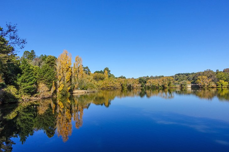Autumn colors at Lake Daylesford