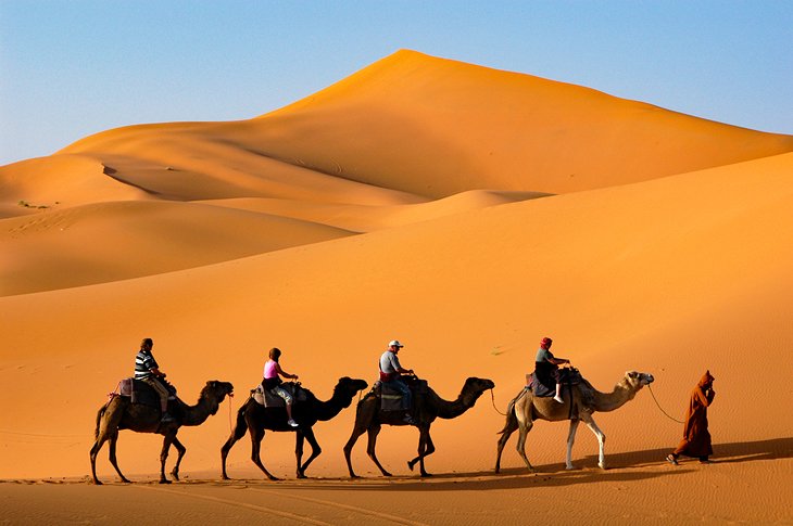 Riding camels in the Sahara Desert