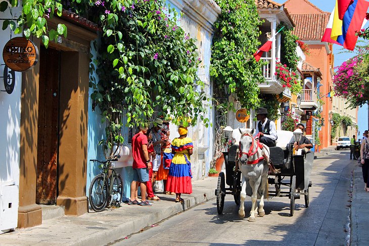 Horse-drawn carriage in Cartagena