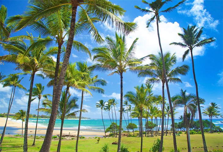 Source de la photo : Hilton Garden Inn Kauai Wailua Bay