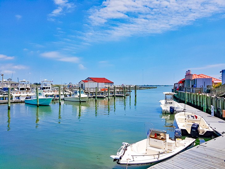 South Jersey Marina