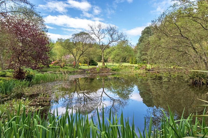 St. Andrews Botanic Garden