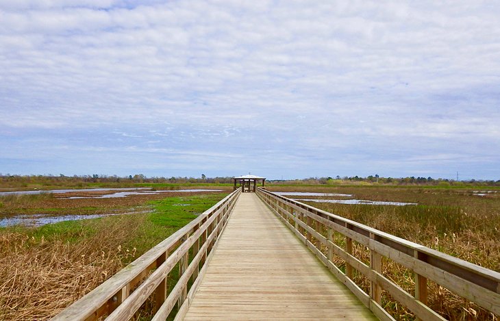 Cattail Marsh Wetlands