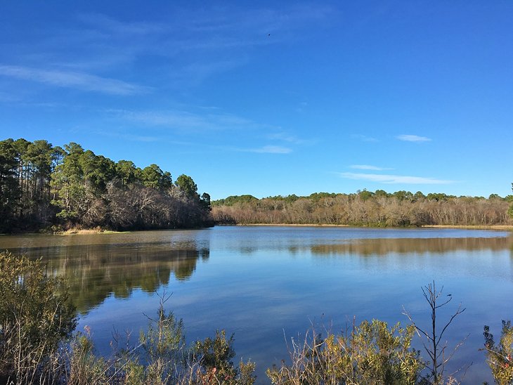 Lake Palestine