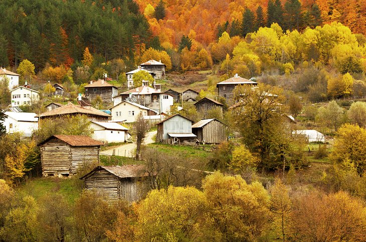 Küre Mountains