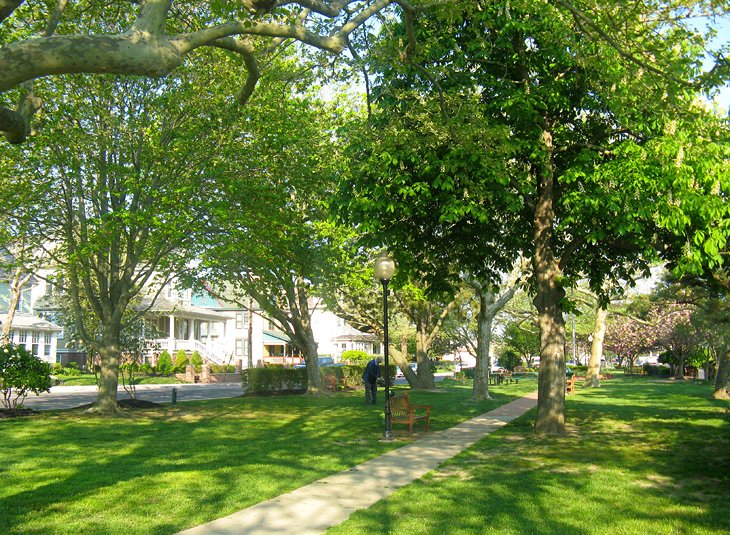 Wilbraham Park near the Wilbraham Mansion