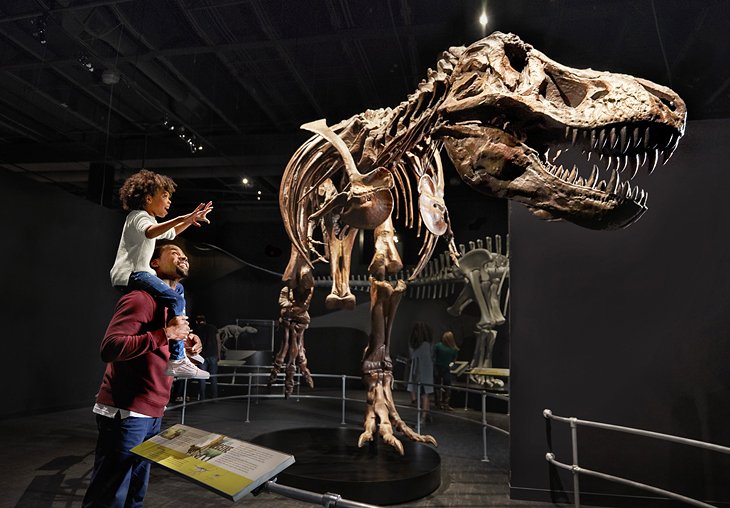 The Dinosaur Gallery at COSI