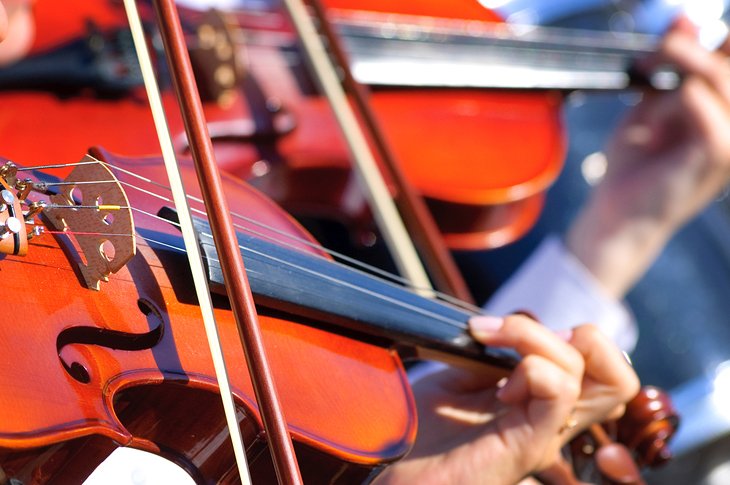 Violins at the symphony