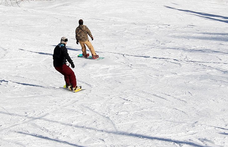 Boarders on the hill