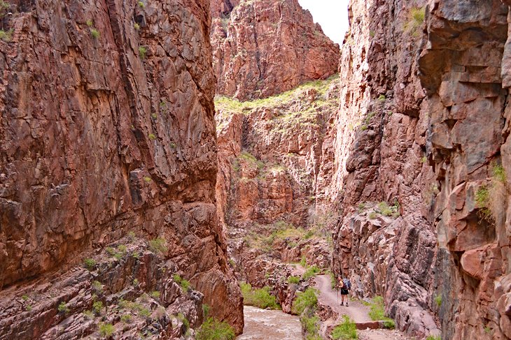 11 rutas de senderismo mejor valoradas en el Gran Cañón