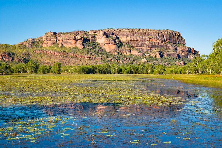 Anbangbang Billabong in Kakadu National Park