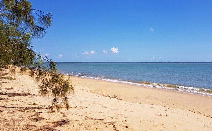 A beautiful beach in the Tiwi Islands