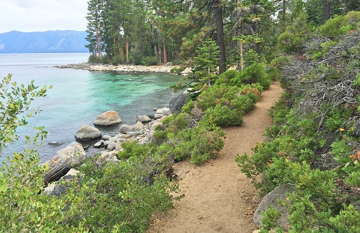 Rubicon Trail at D.L. Bliss State Park