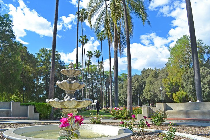 Fairmount Park Rose Garden