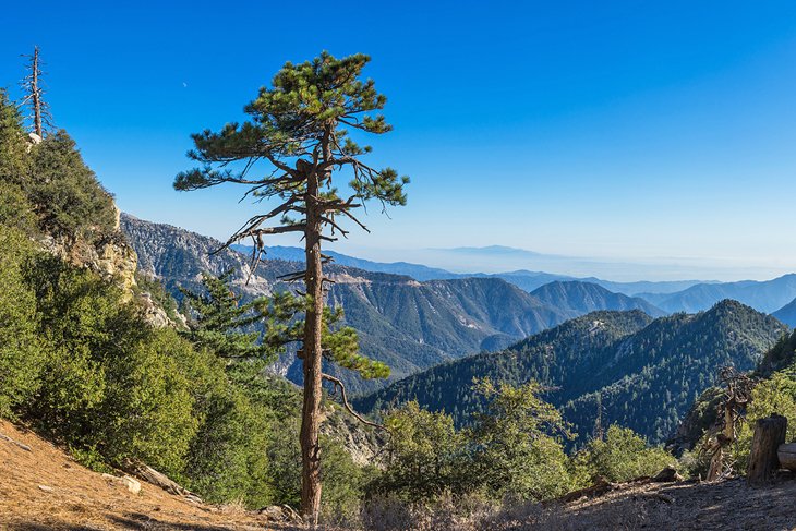 View over Angeles National Forest