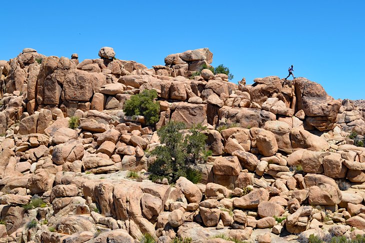 Joshua Tree National Park