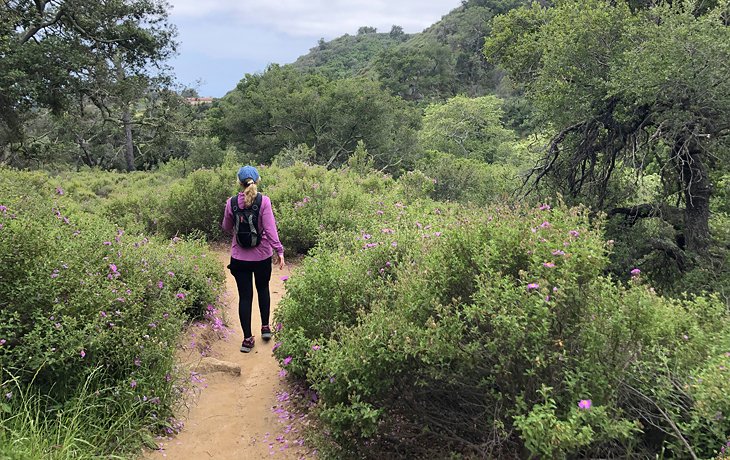 Rattlesnake Canyon in the spring