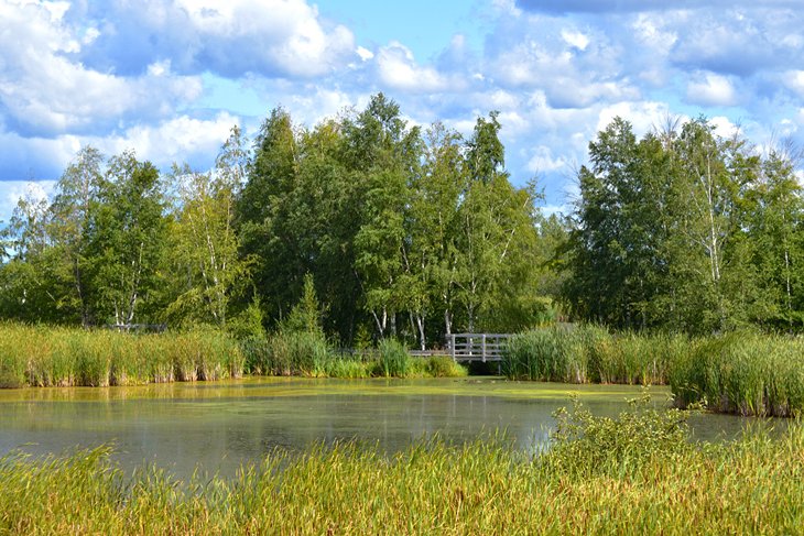 Sackville Waterfowl Park