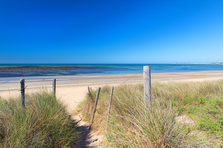 Beautiful beach on Ile de Ré