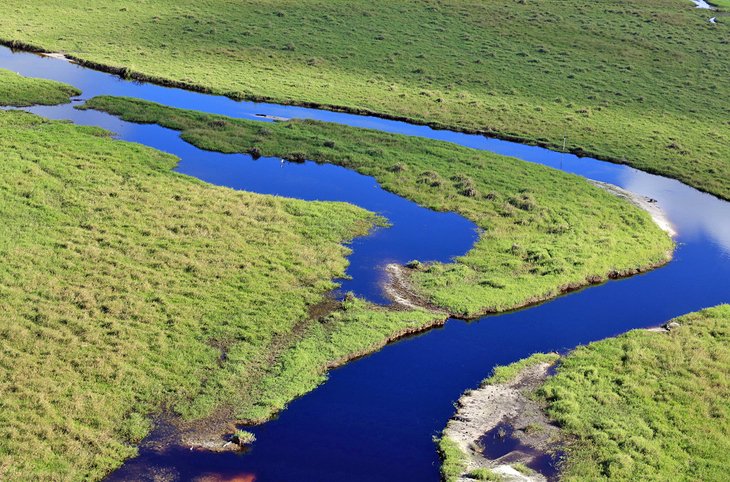 The winding waterways of the Florida Everglades