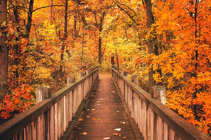 Bridge at Pokagon State Park