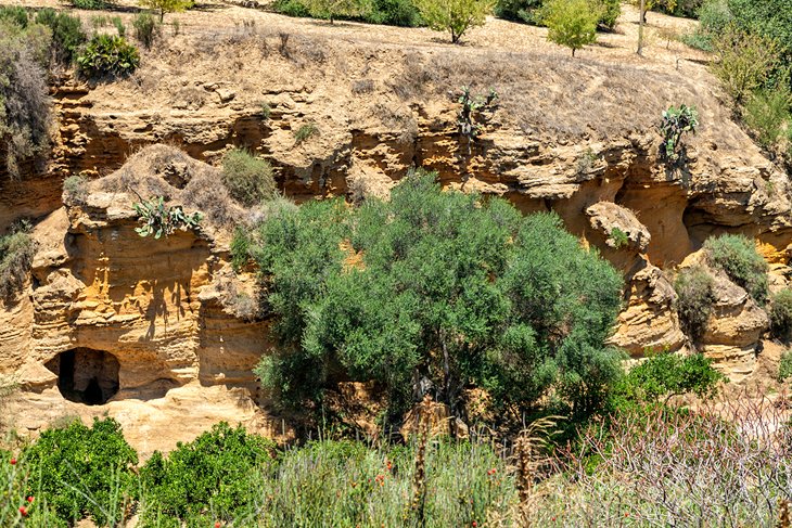 The Kolymbetra Garden