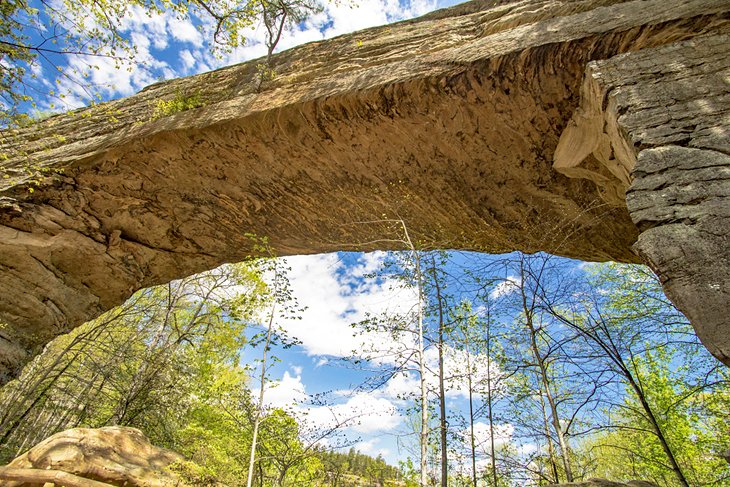 Voûte en pierre naturelle de pont en parc d'état de pont naturel