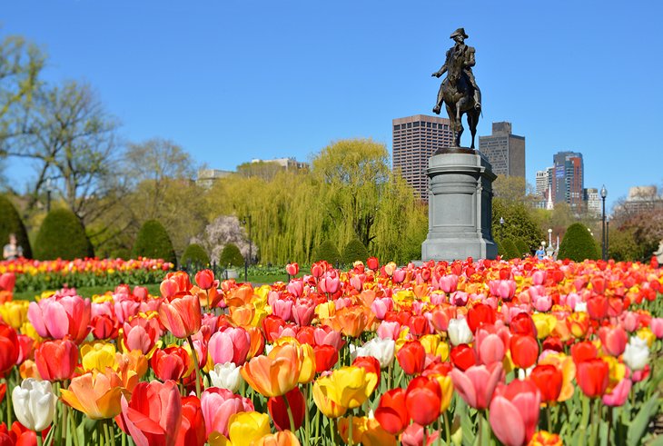 Boston Public Garden