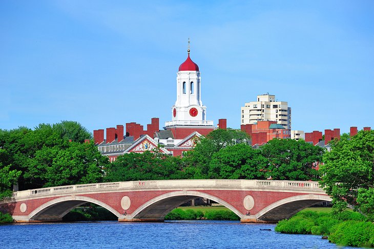 View of Harvard University