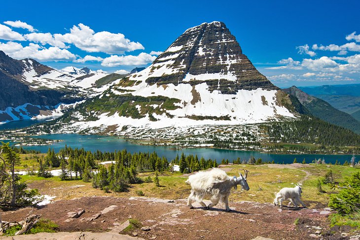 Hidden Lake, Logan Pass