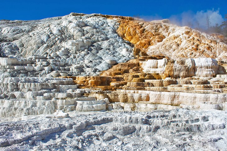 Mammoth Hot Springs, Yellowstone