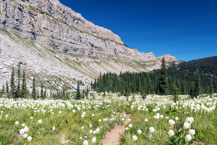 The Chinese Wall, Bob Marshall Wilderness