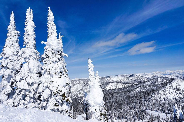 Big Mountain in Whitefish, Montana