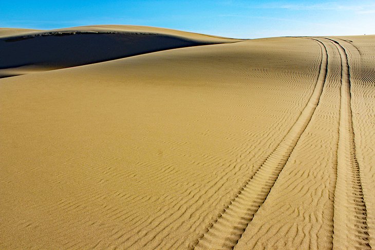 Oregon Dunes