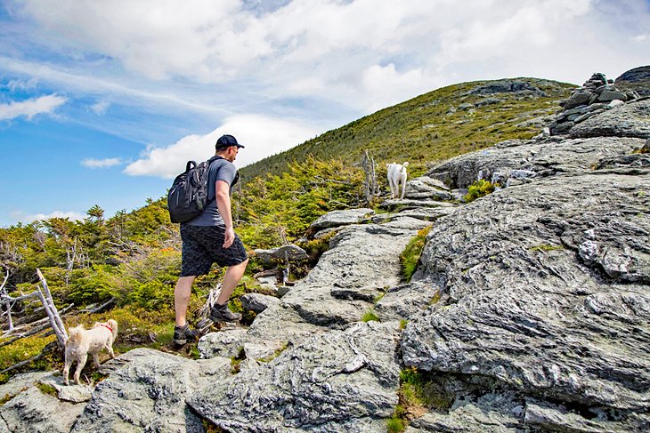 Hiker on Mt. Mansfield