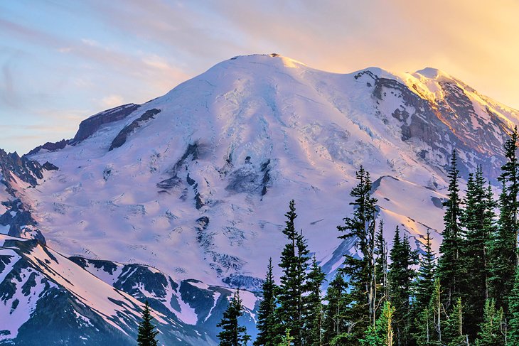 View of Mount Rainier from Sunrise Visitor Center