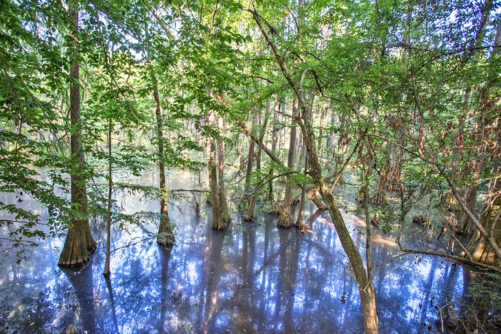 Perry Lakes Park