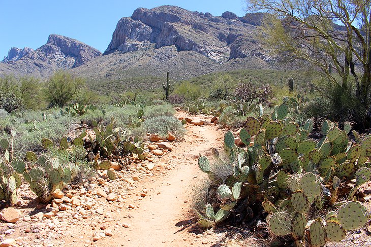 Tucson Map