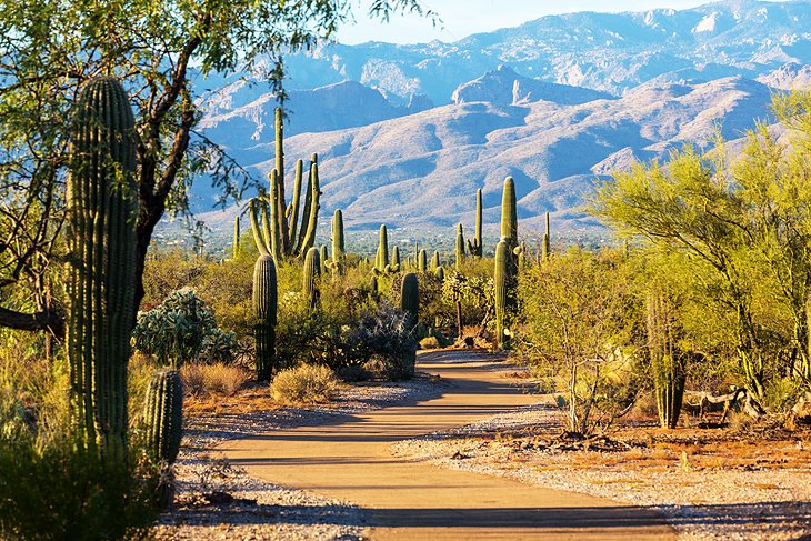 17 Top-Rated Tourist Attractions in Tucson, AZ | PlanetWare