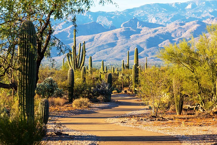 places to visit tucson az