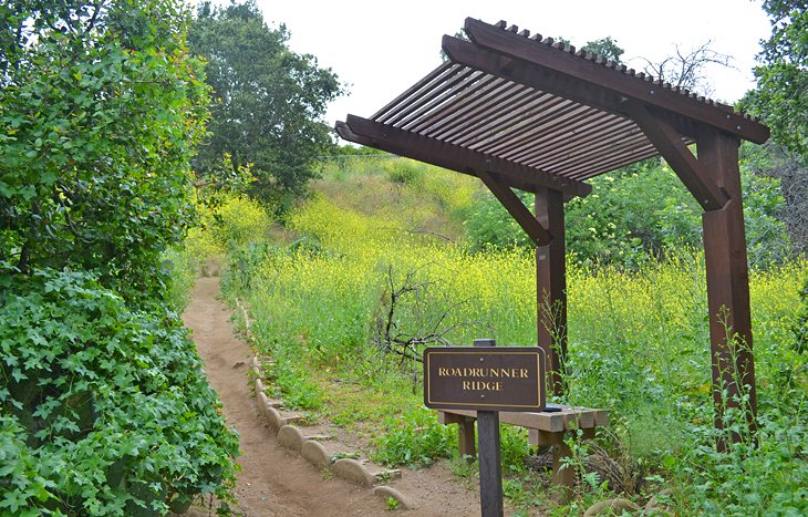 Roadrunner Ridge Trail