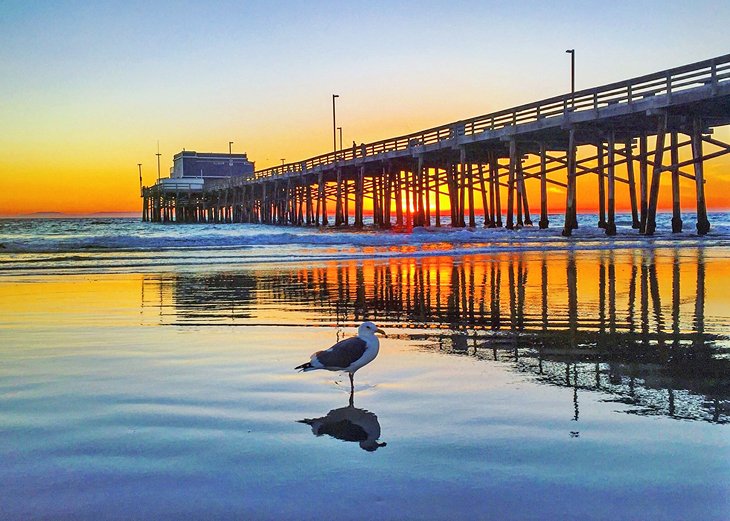 Newport Beach Pier at sunset