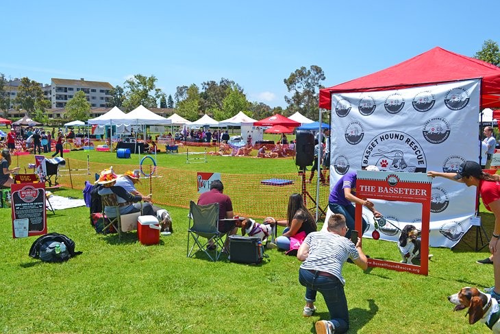 Dog show at the William R. Mason Regional Park