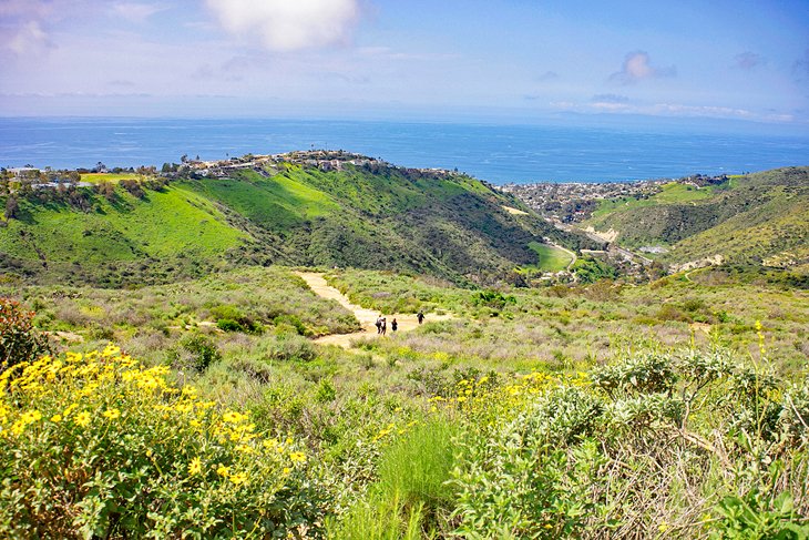 View towards the ocean from Laguna Coast Wilderness Park