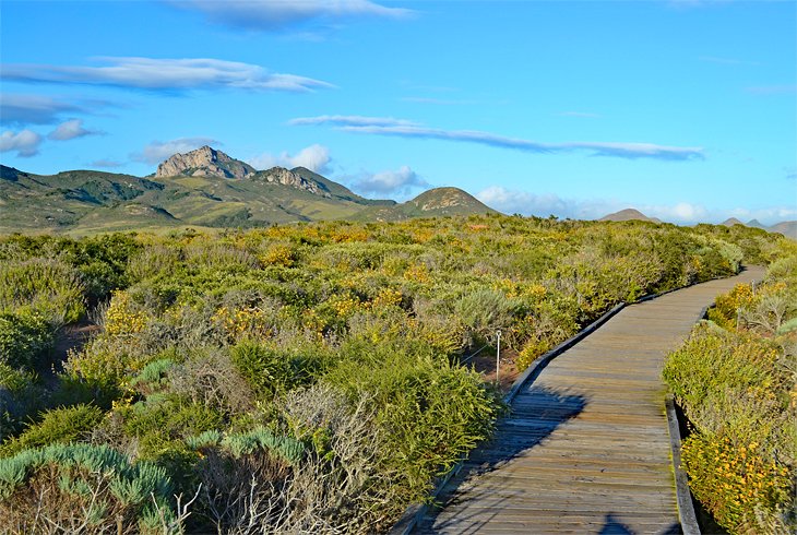 El Moro Elfin Forest