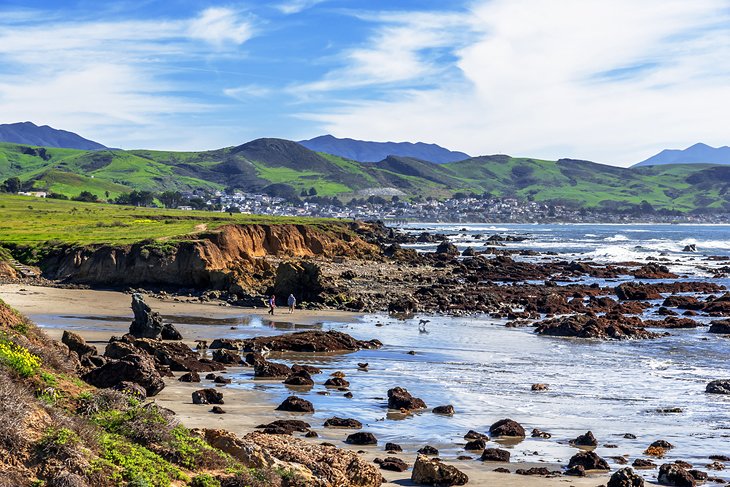 Estero Bluffs State  Park