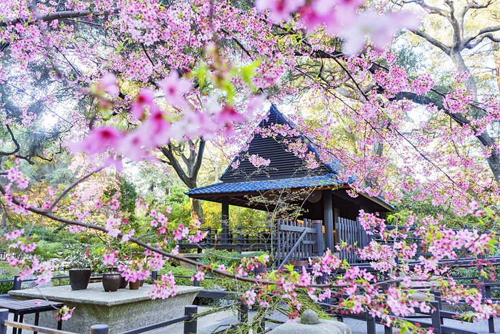 The  Japanese Garden at Descanso Gardens