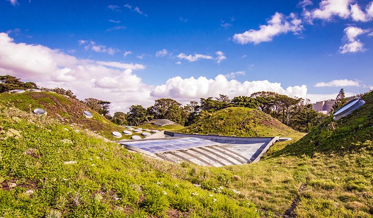 Roof of the California Academy of Sciences