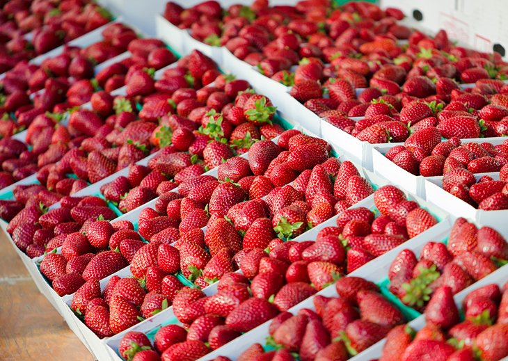 Fresh strawberries at the Santa Monica Farmers Market