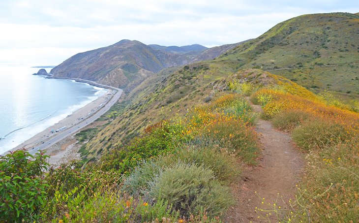 Point Mugu State Park